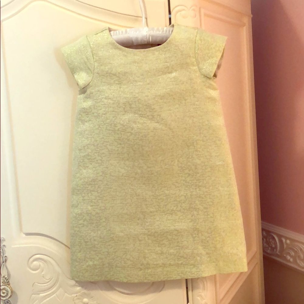 Girls dress in lime green and gold shimmer design
